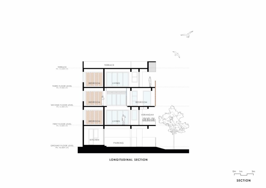 04 Longitudinal Section 1